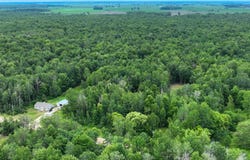 3162 S Alamando Road, St. Louis, MI 48880