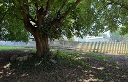 LOT 1 S MAIN STREET, WOODSTOCK, VA 22664