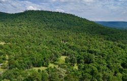 001 Bolen Hollow W, Pittsburg, OK 74560