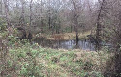 Big Creek, Shepherd, TX 77371
