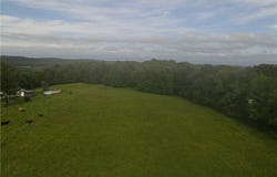 Wilbur Hill Road, Butternuts, NY 13776
