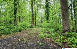 2244 Williams Church Road, Lower Saucon Twp, PA 18055