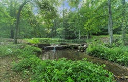 299 NW Charlotte Drive, Dalton, GA 30720