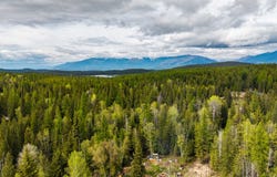 37 Soaring Eagle Trail, Fortine, MT 59918