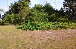 306 MAIN STREET, SEBASTIAN, FL 32958