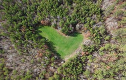 * Tortoise Road, Lisman, AL 36912