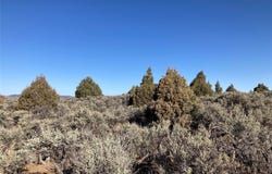 Tierra Grande Lots 39 40 41 42, Ensenada, NM 87575