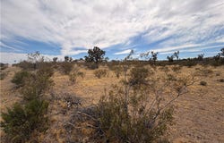 17773 Laurel Drive, Dolan Springs, AZ 86441
