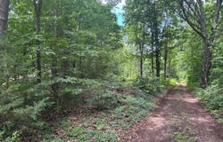 TBD MOUNT PISGAH CHURCH DR, ORANGE, VA 22960
