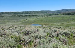 Tbd Divide (Mont's Draw) Road, Gateway, CO 81522