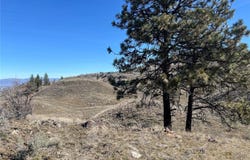 Nna Soap Lake Rd, Other, WA 98829