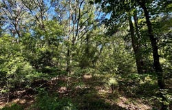 NW Little Cat Road, Madison, FL 32340