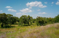101 Scotty Ln, Liberty Hill, TX 78642