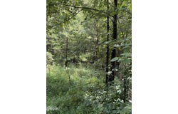 Midway Road lot 4, Strawberry Plains, TN 37871
