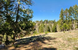 2725 Meadow View Lane, Spring Garden, CA 95971