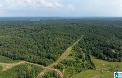 0 WILKERSON ROAD, FAYETTE, AL 35555