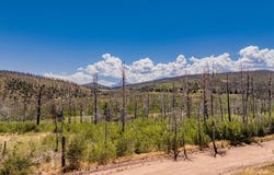 Emery Loop lot: 1626, Fort Garland, CO 81133