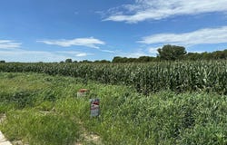 220 W 11th, Malvern, IA 51551