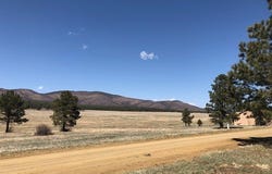 Lot 65 Patron Road, Rociada, NM 87742