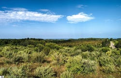 S Overlook Road, Northport, MI 49670