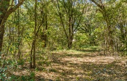 Lot 24 Mallard Drive, Barnwell, SC 29812