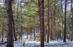 L 17 Rice Road, Hope, NY 12134