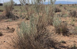 VL Highland Meadows Lot 40E 1/2 U unit: 2, Laguna, NM 87026