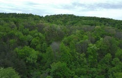 1878 Dime Rd, Vandergrift, PA 15690