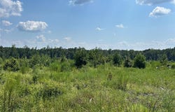 000 Dorcheat Road, Cotton Valley, LA 71018