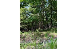Pine Drive lot: 40, Garfield, AR 72732