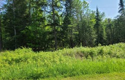 1281 W Trask Lake Road, Barton City, MI 48705