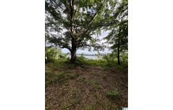 0 CEDAR SHORES DRIVE, SYLACAUGA, AL 35151