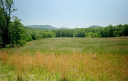 2 Morrison Road, Morganton, NC 28655