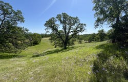 Lot 29 Deer Crest Trail, Cottonwood, CA 96022