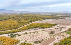 County Road B10, La Mesa, NM 88044