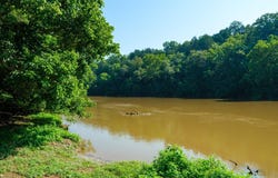 Lot 13 LAZY RIVER EAST RD, LURAY, VA 22835