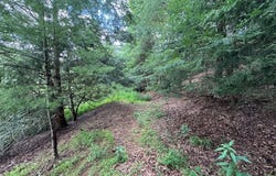 Lot 61 White Pine Trail, Suches, GA 30572