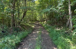 1181 Brown Hill Rd, Youngsville, PA 16371