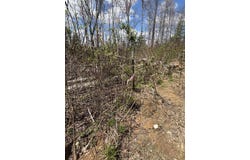 High Falls Road, Campton, KY 41301