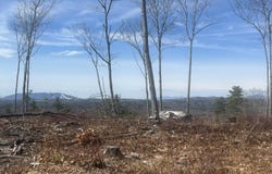 Deer Hill Road, Harrison, ME 04040