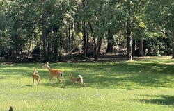 2905 Rambling Path, Anderson, SC 29621
