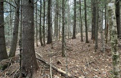 Stream View Drive, Skowhegan, ME 04976