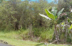 HAUMALU ST, Volcano, HI 96785