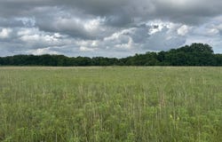 000 Highway 177, Stratford, OK 74872