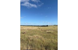 275 Painted Pony Rd, Harper, TX 78631