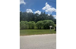 370 CAMERON STREET, MULBERRY, FL 33860