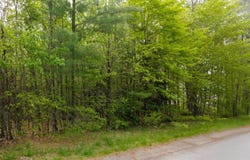 Lot 7 Grant Road, Orono, ME 04473