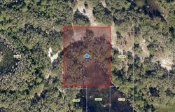ROYS ROAD, CLERMONT, FL 34711