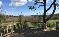 14290 RIDGE RD, BLOXOM, VA 23308