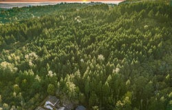 16581 SE Hagen Rd, HappyValley, OR 97086